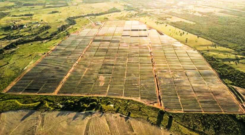 mg不朽情缘(中国)官方网站