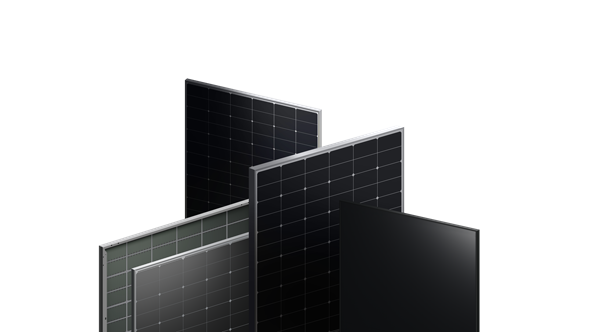 mg不朽情缘(中国)官方网站