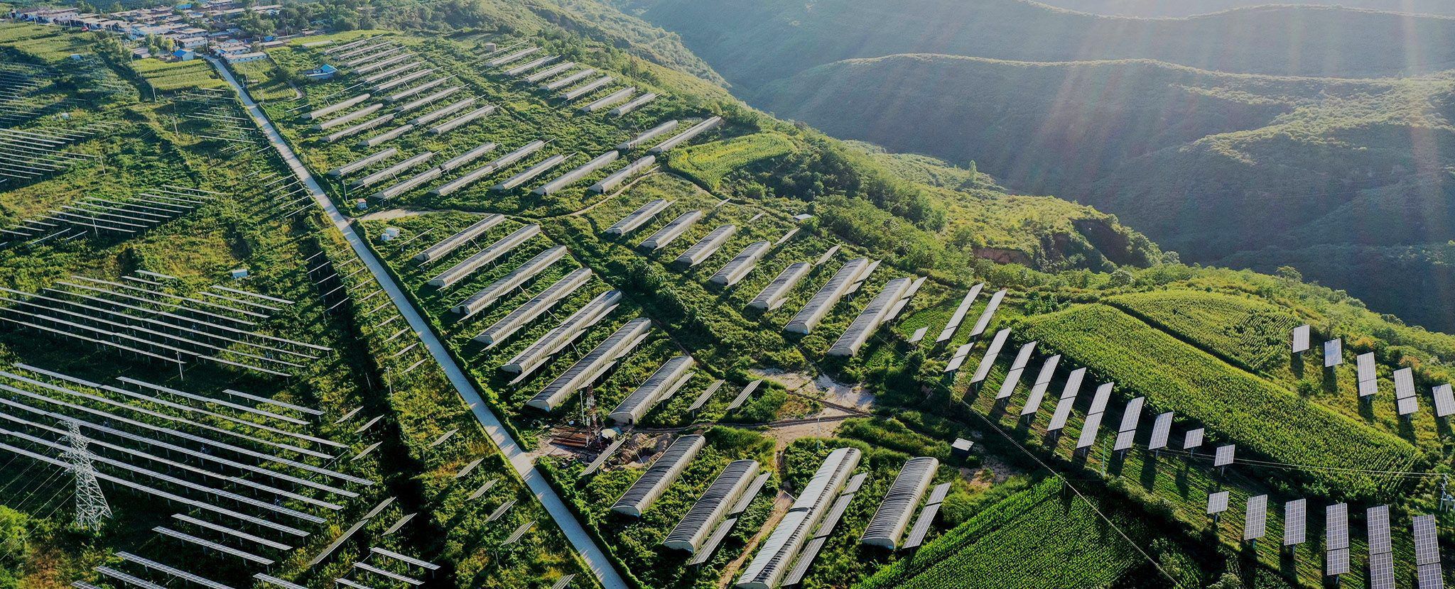 不朽情缘友好型大型光伏地面电站