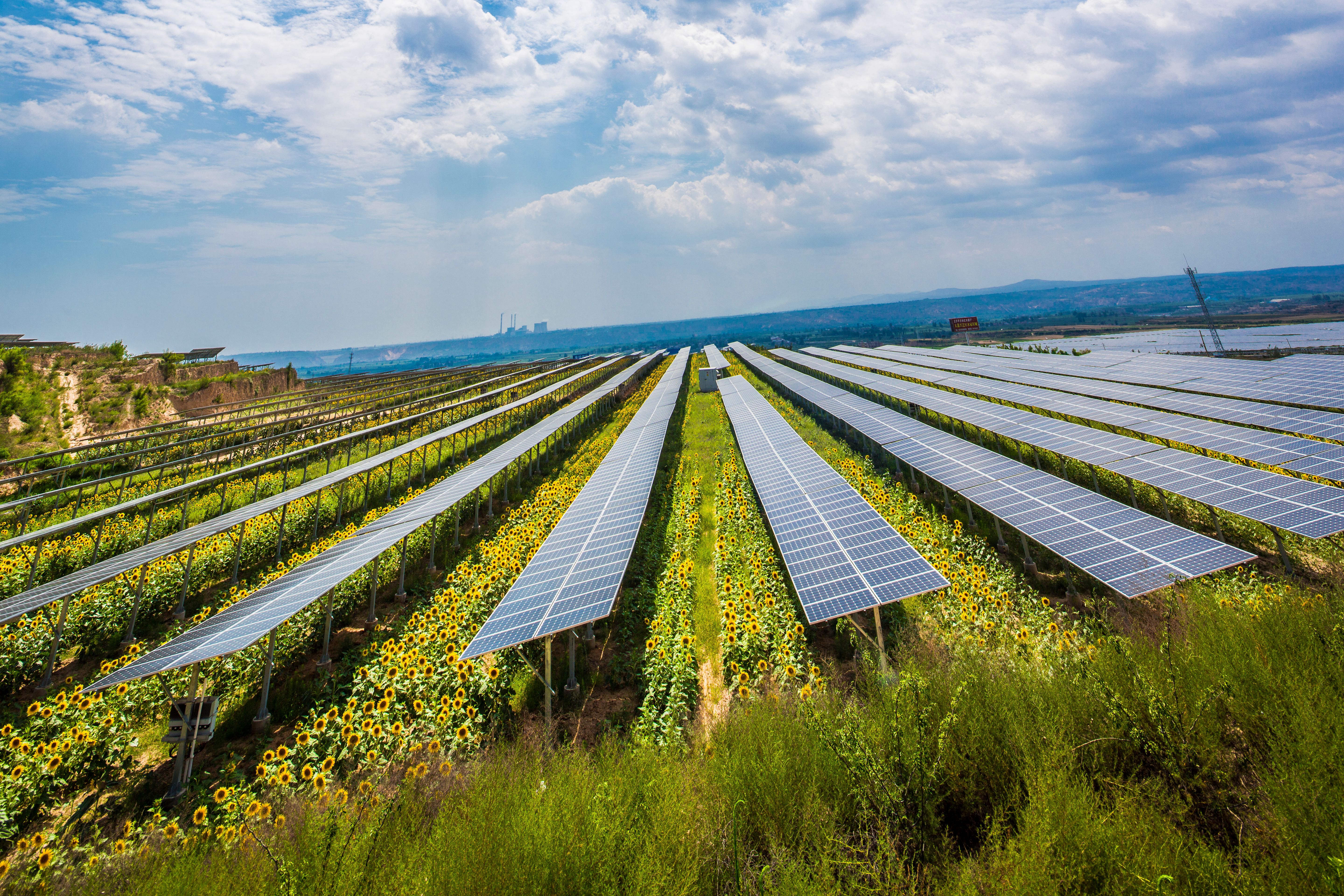 不朽情缘农光互补一体化计划 - 打造金山银山
