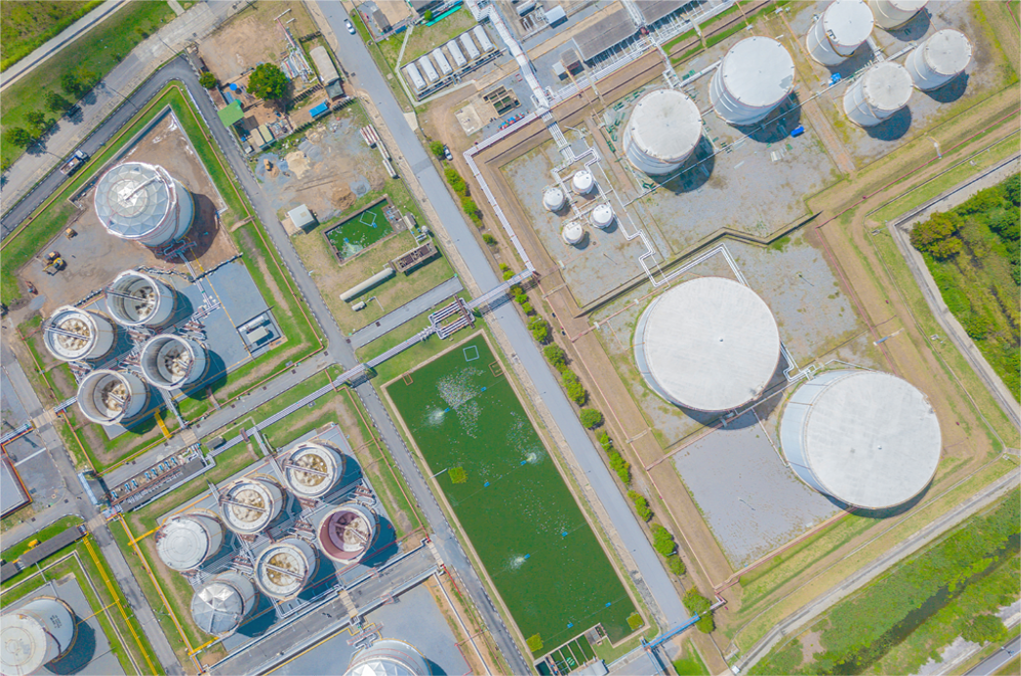 mg不朽情缘(中国)官方网站