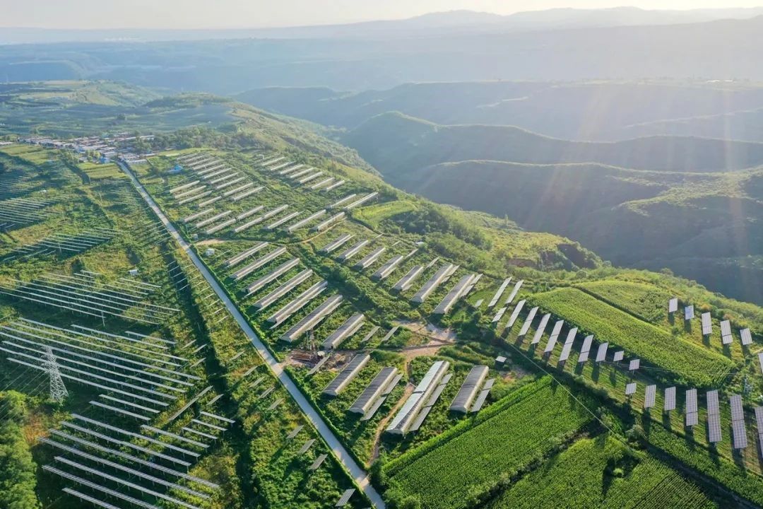 Projeto ‘Fotovoltaico + Agricultura’ da LONGi em Tongchuan, previamente selecionado como uma das Boas Práticas dos ODS das Nações Unidas.