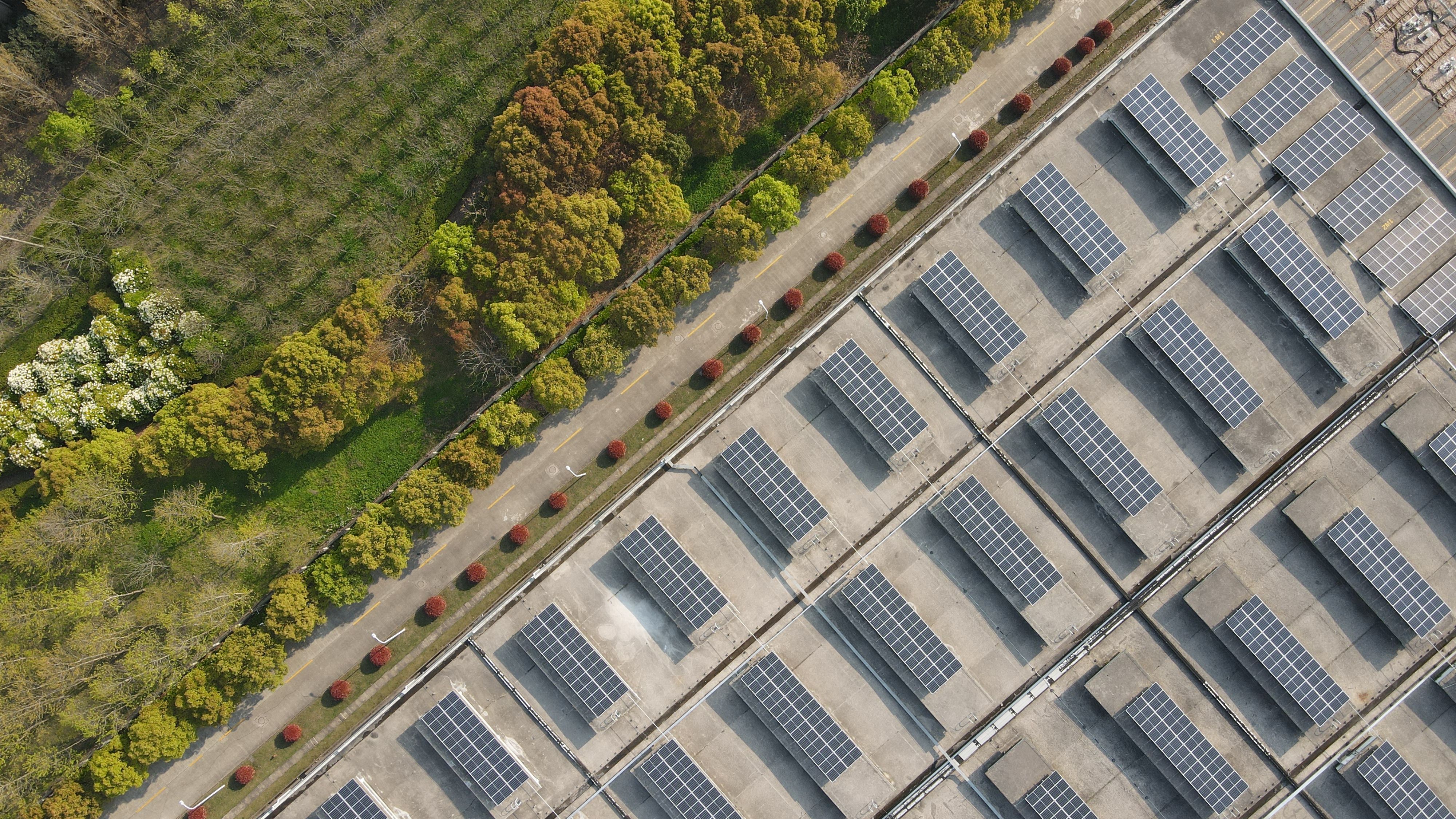 mg不朽情缘(中国)官方网站