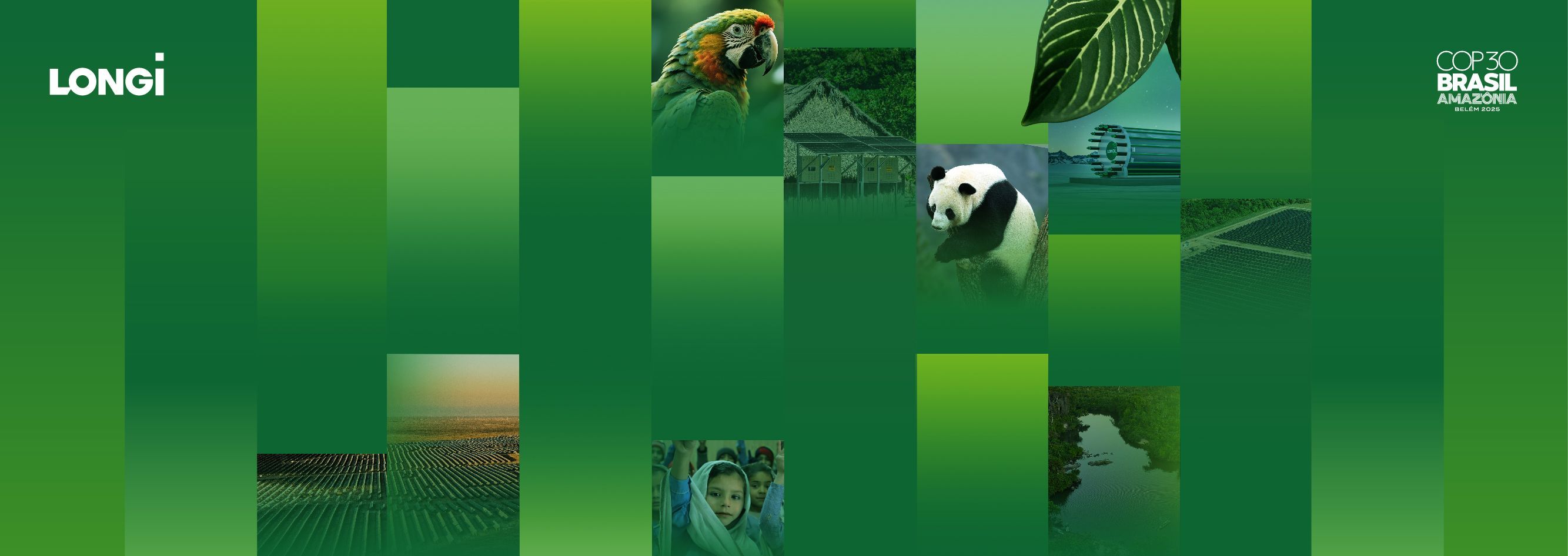 Activity image