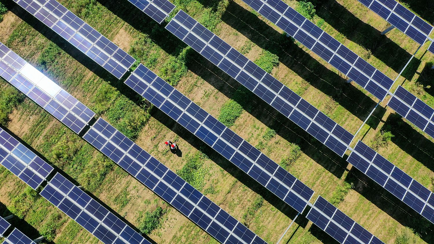 不朽情缘林光互补一体化计划 - 情形经济双提升