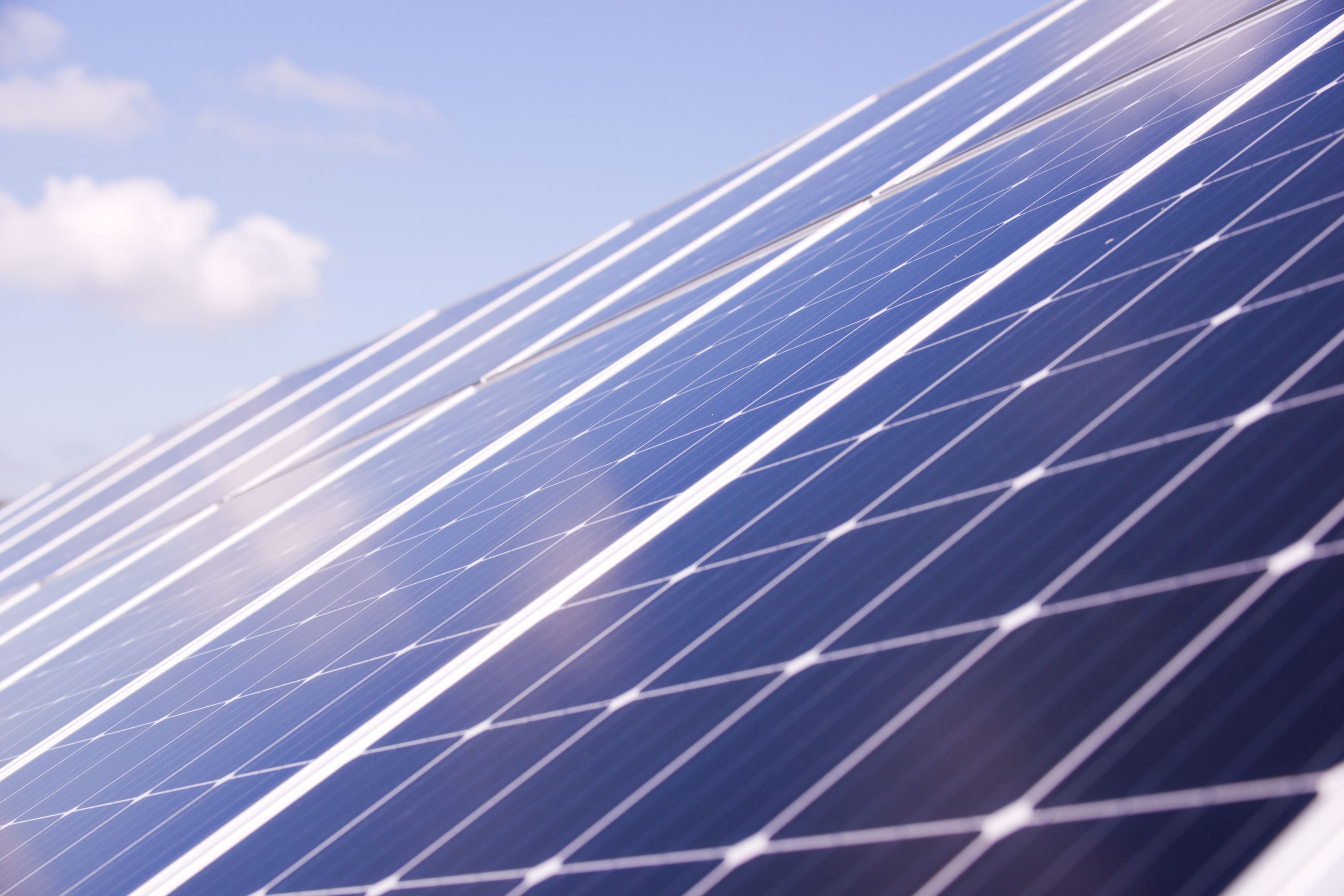 不朽情缘农光互补一体化计划 - 提升发电量