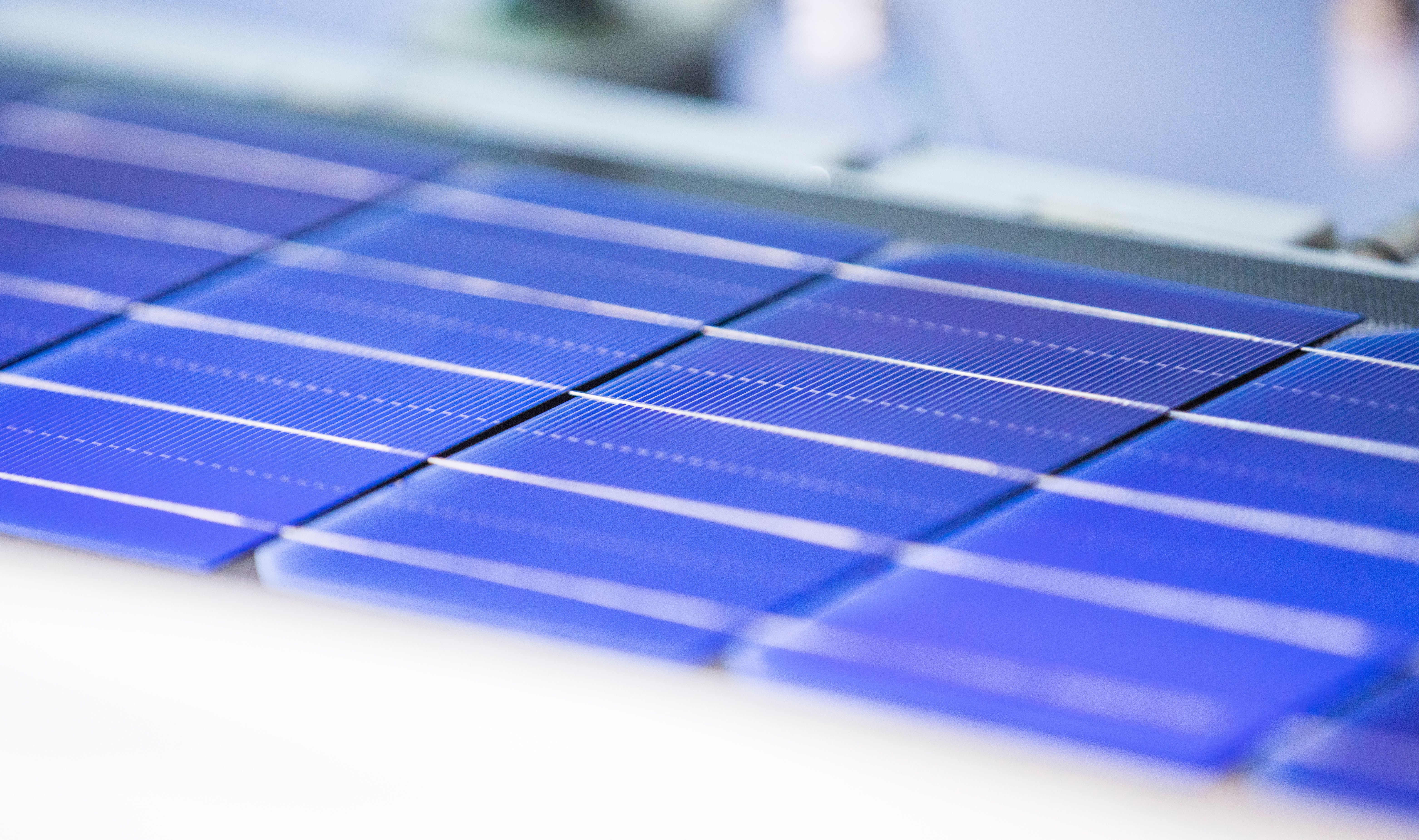 mg不朽情缘(中国)官方网站