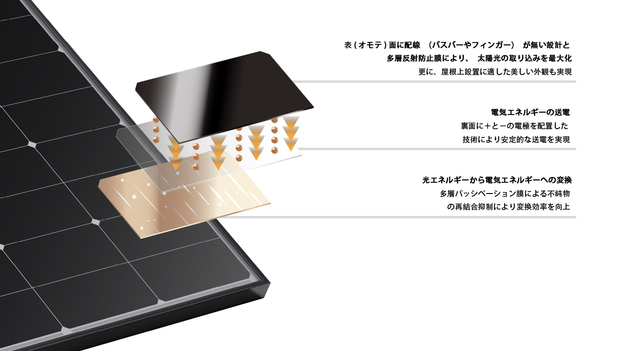 mg不朽情缘(中国)官方网站