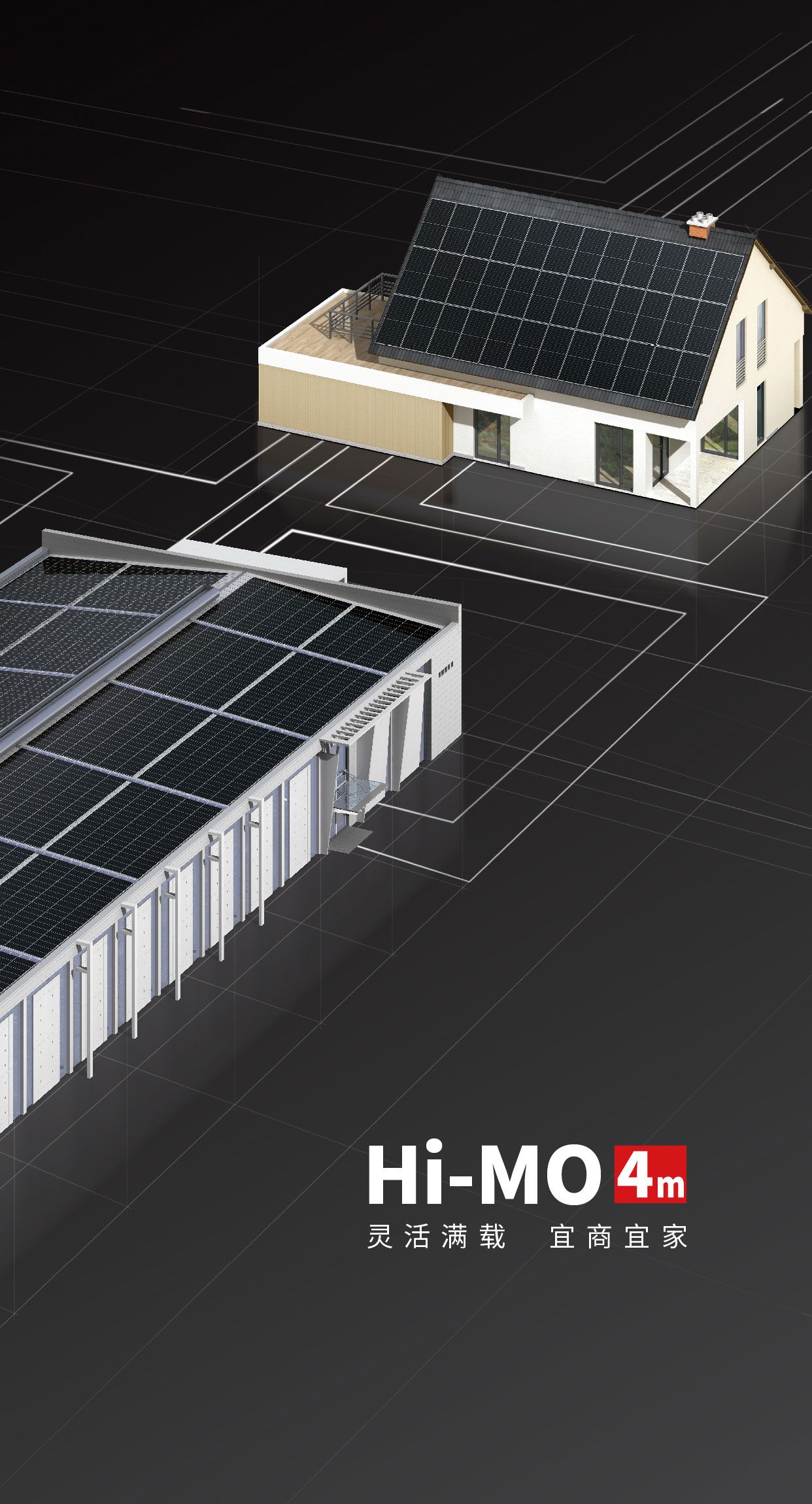 不朽情缘Hi-MO 4m