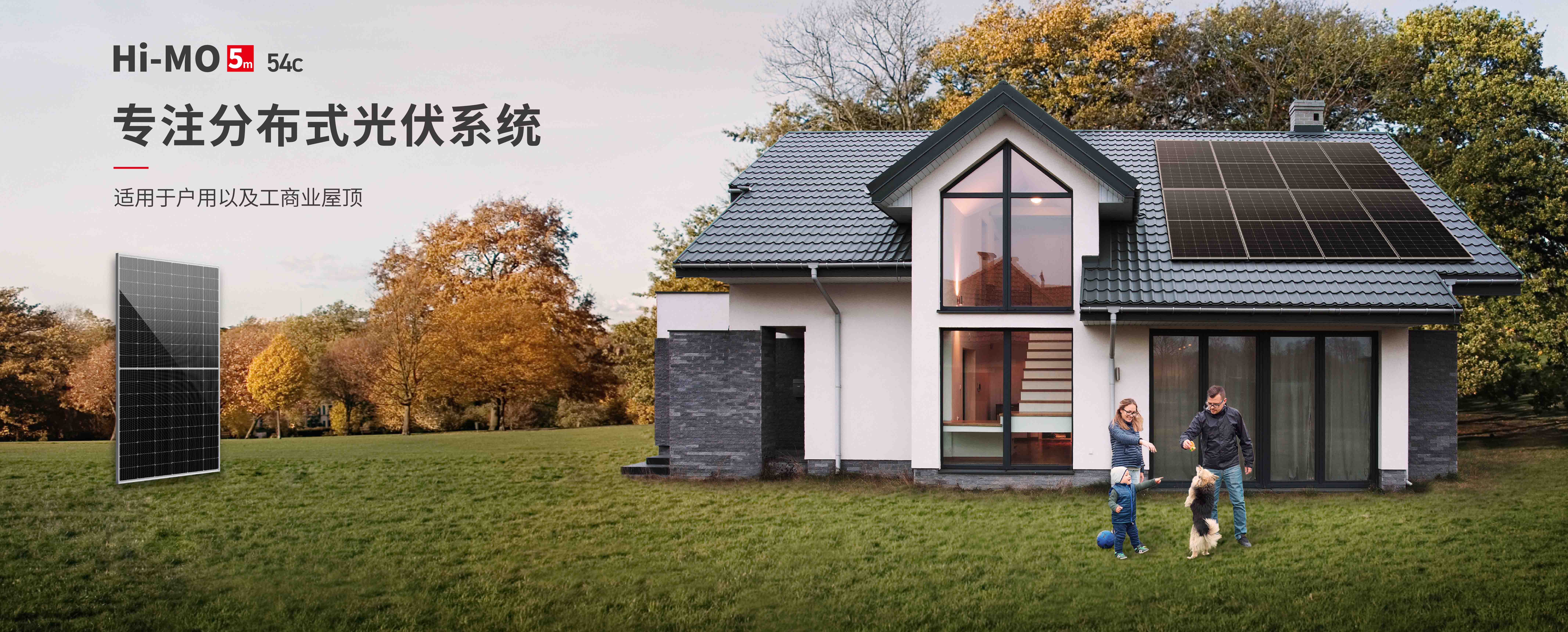 不朽情缘Hi-MO 5m