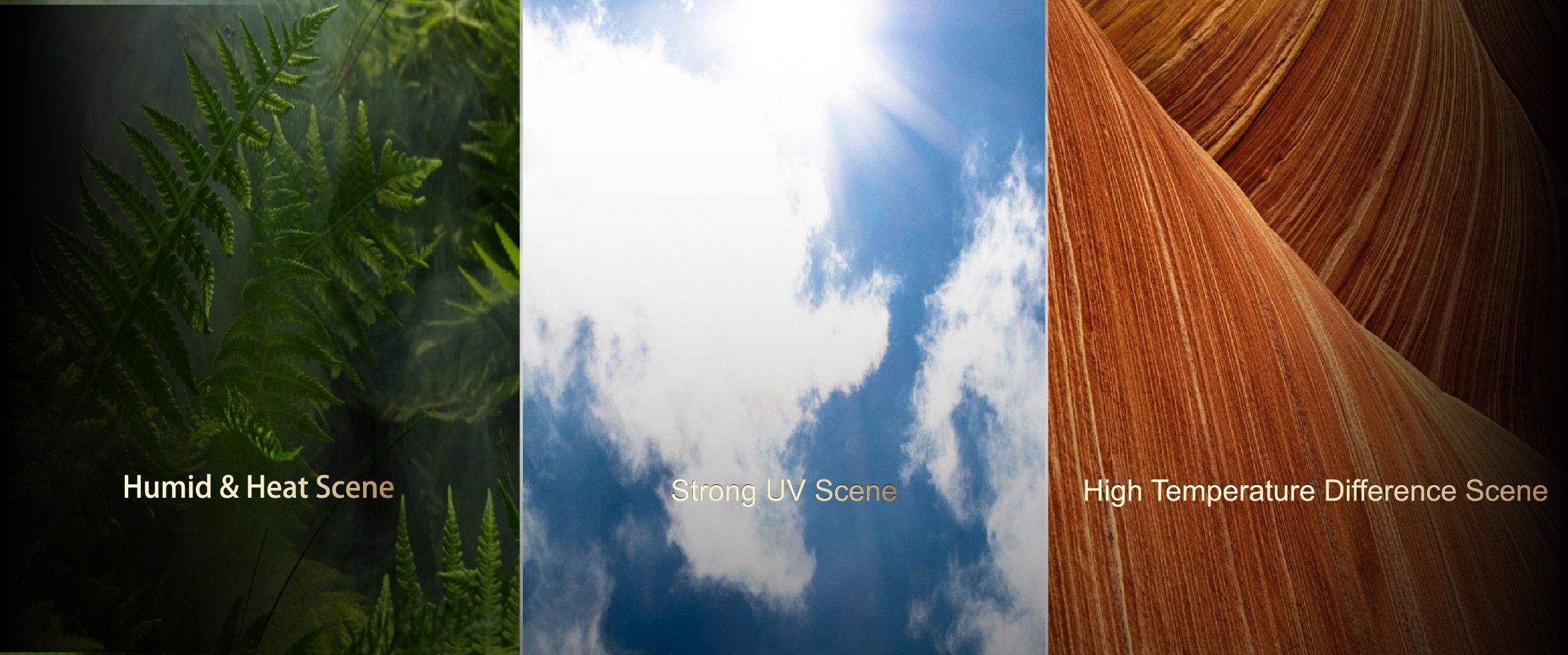 mg不朽情缘(中国)官方网站