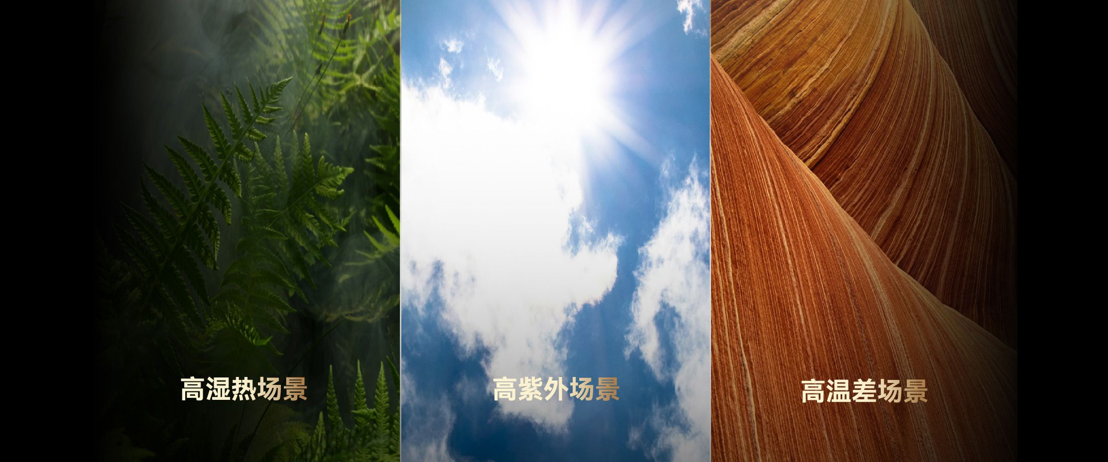 mg不朽情缘(中国)官方网站