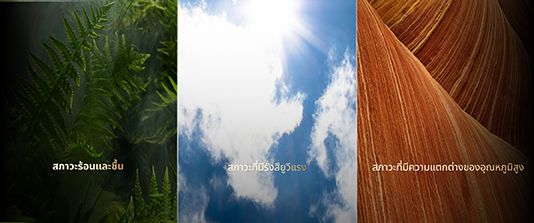 mg不朽情缘(中国)官方网站