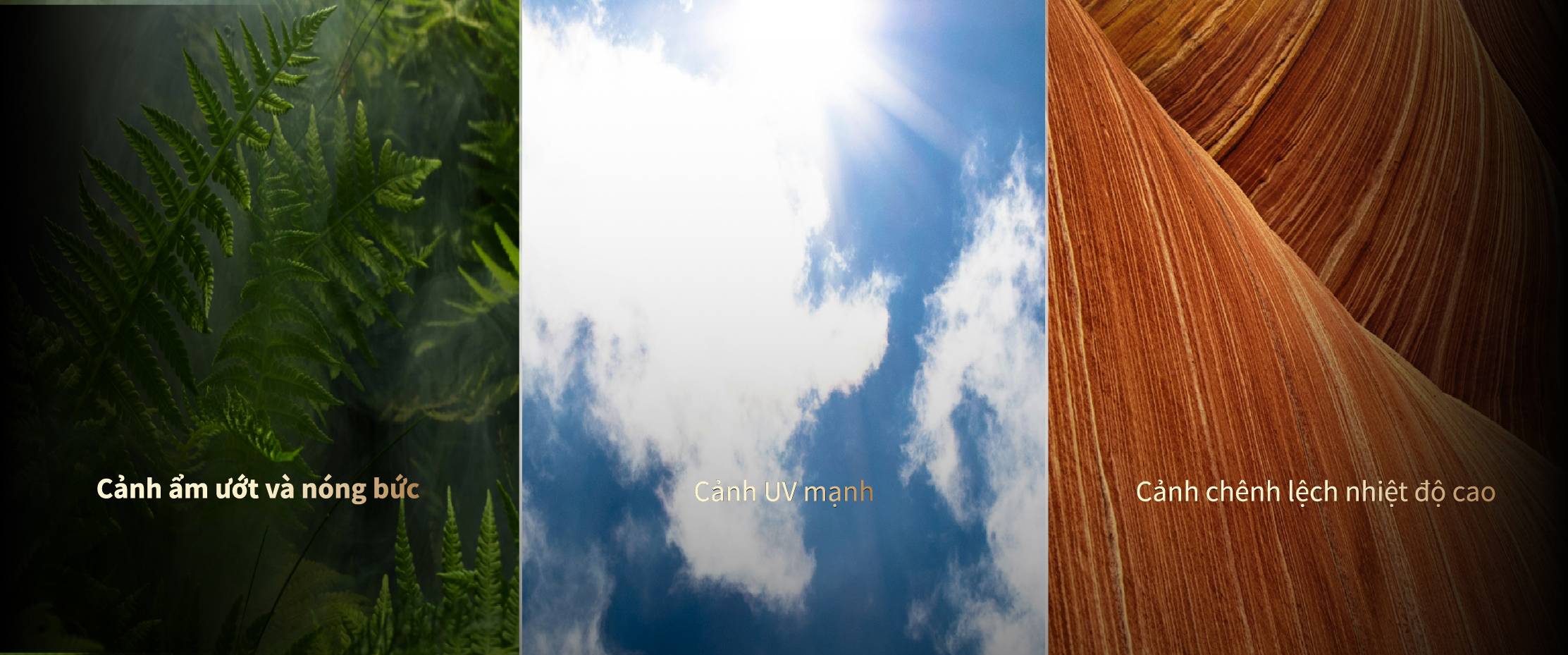 mg不朽情缘(中国)官方网站