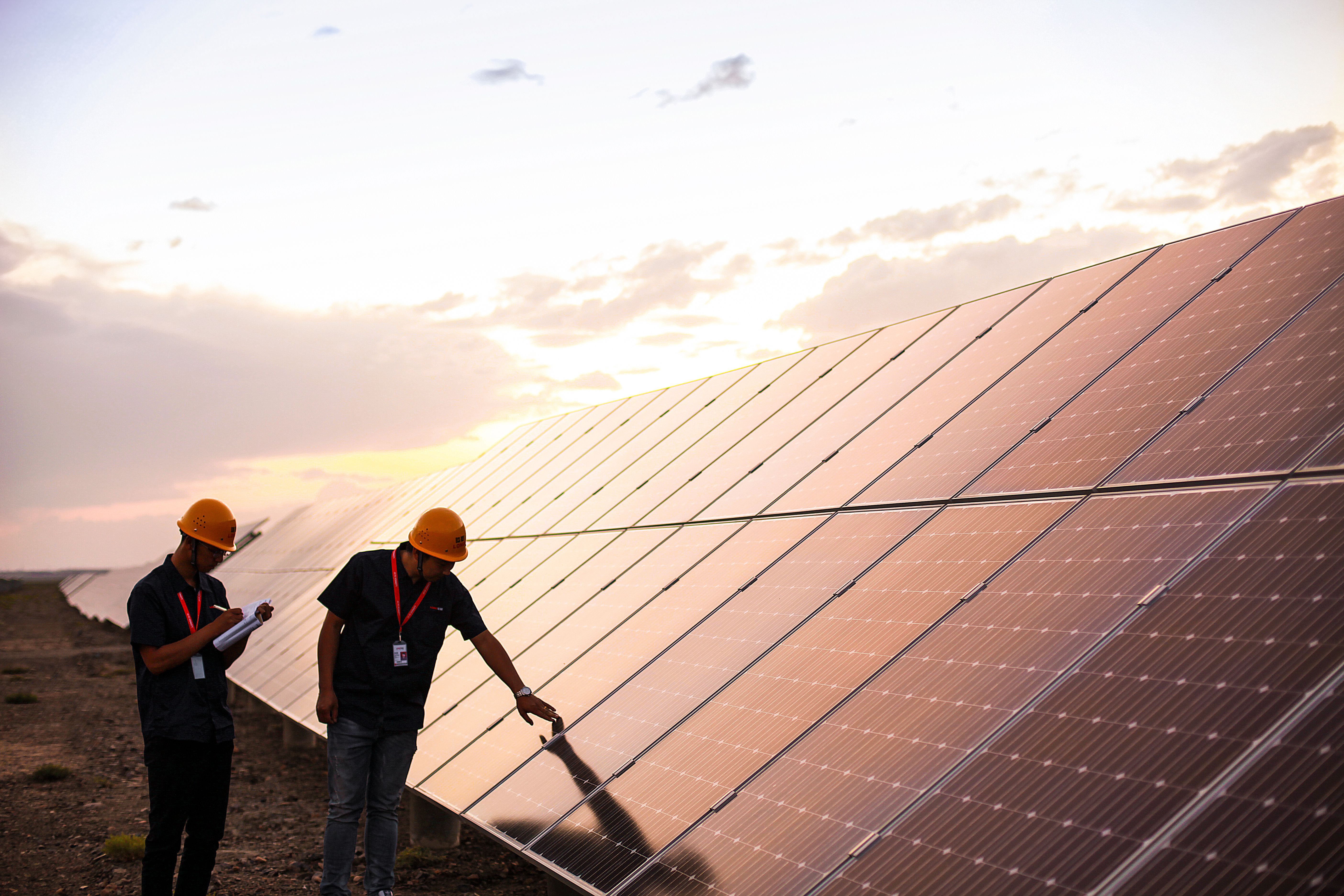 不朽情缘牧光互补一体化计划 - 情形协调