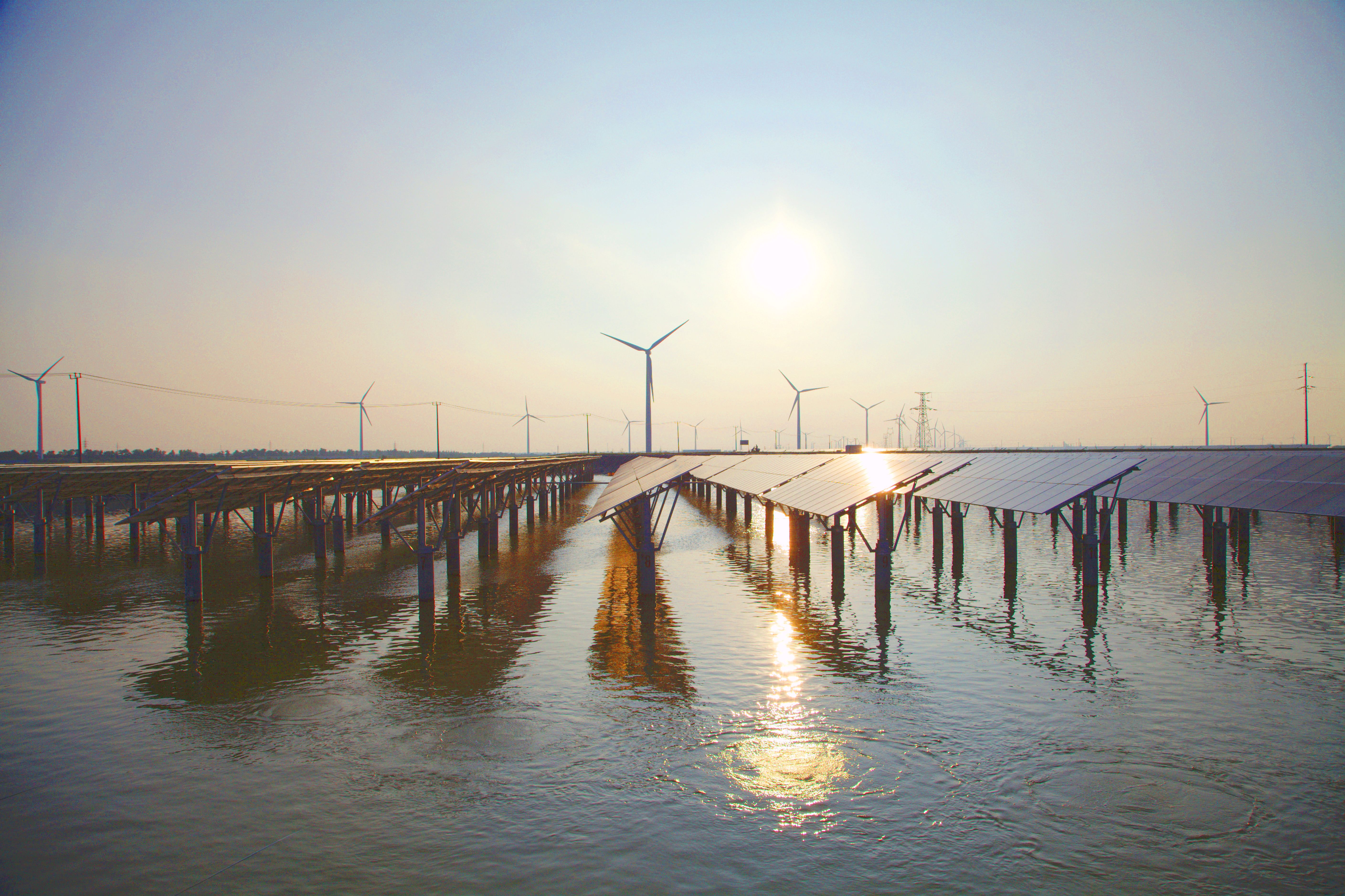 不朽情缘渔光互补一体化计划—提升水质