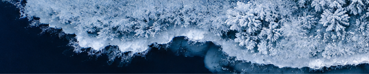 Activity image
