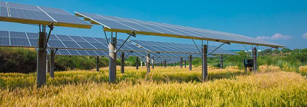 mg不朽情缘(中国)官方网站