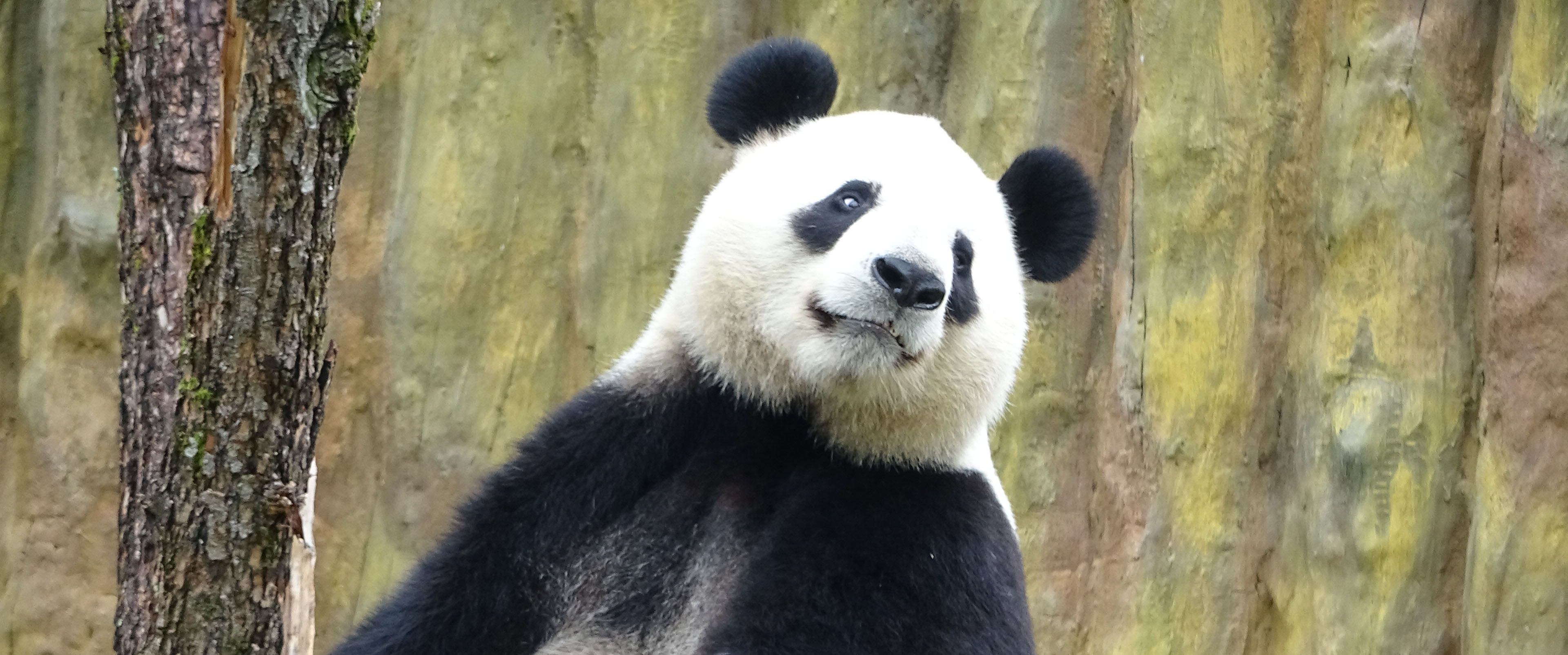 mg不朽情缘(中国)官方网站