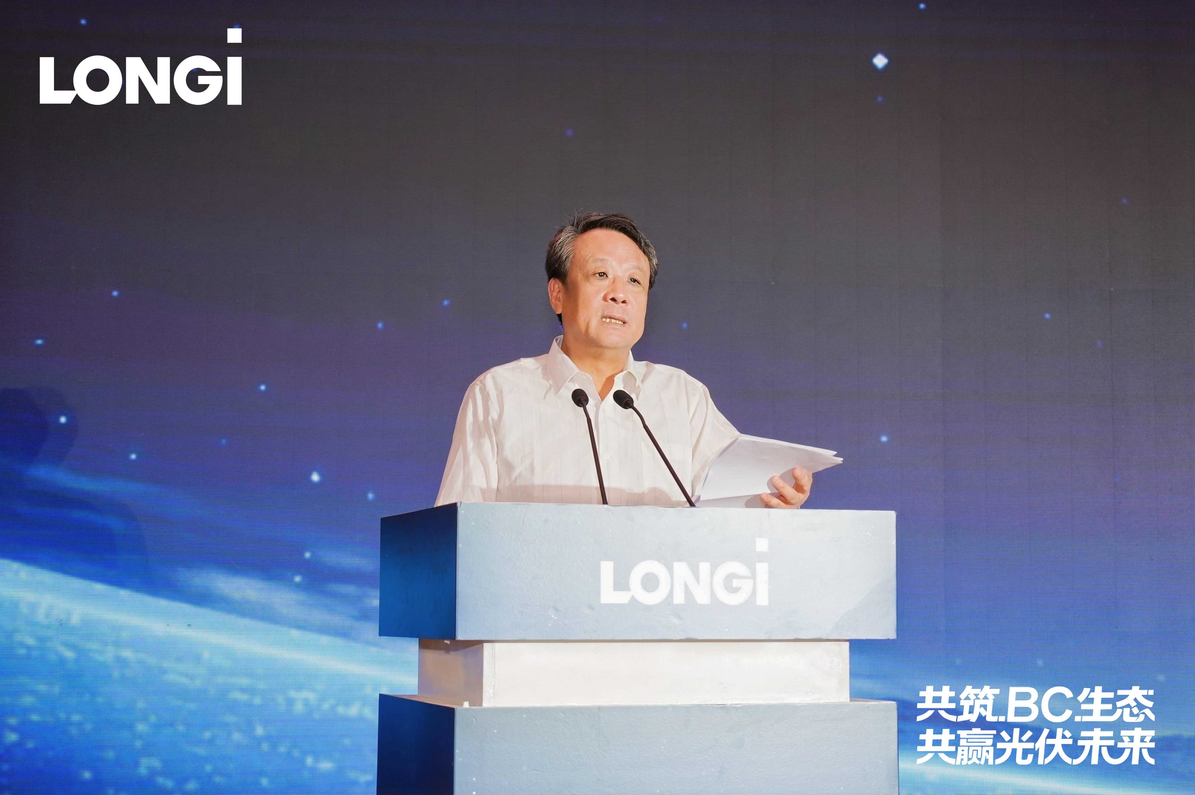 中国可再生能源学会副理事长陈志敏