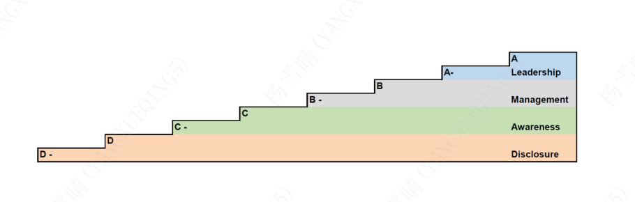 CDP Scoring Level (Source: CDP Full Corporate Scoring Introduction 2024)