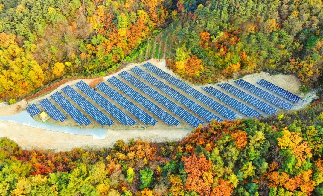 在韩国金川，隆基助力当地改变传统煤炭能源结构，步入清洁低碳新纪元。