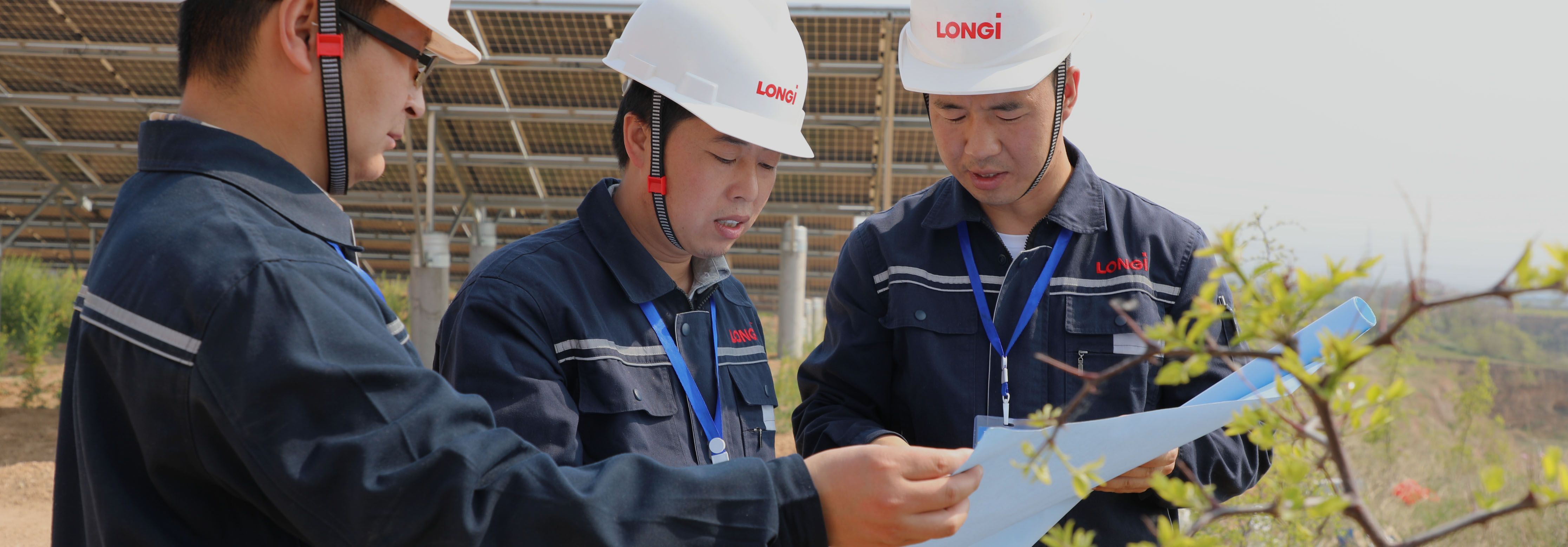 不朽情缘生态修复解决计划-全生命生态治理