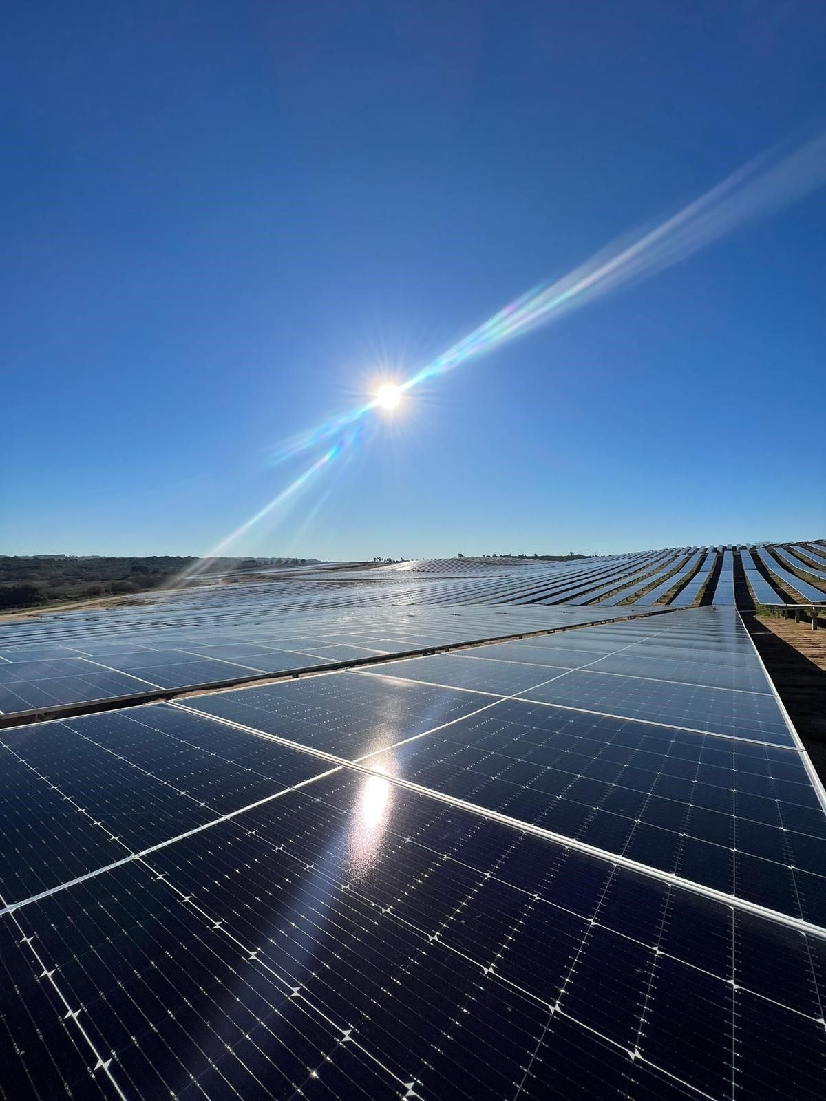 LONGi、ポルトガル22MW太陽光発電所プロジェクトの建設に参画
