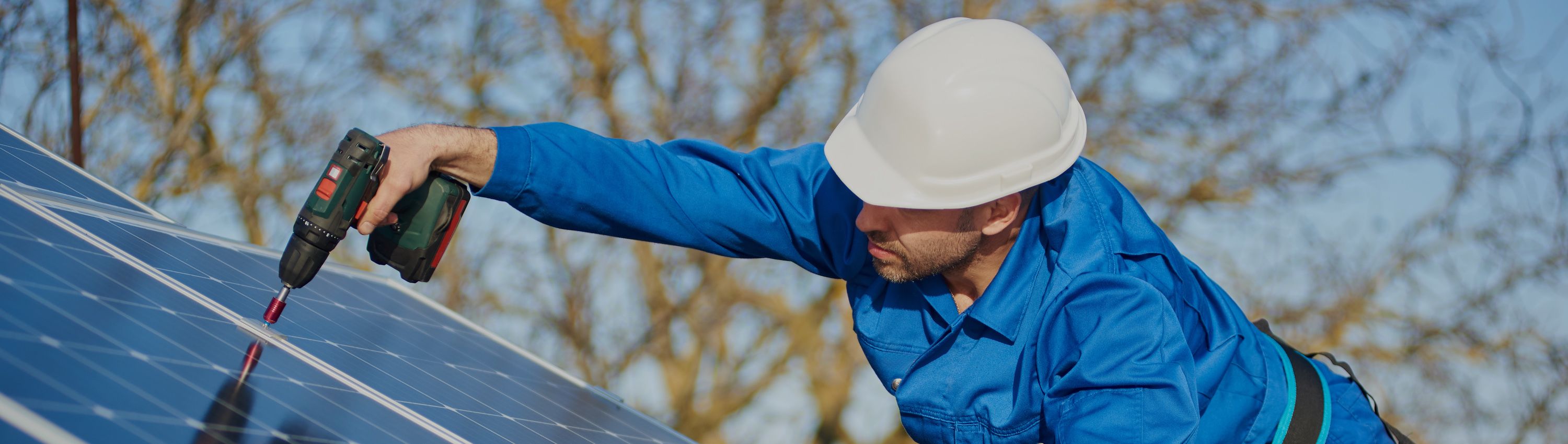 صورة النشاط